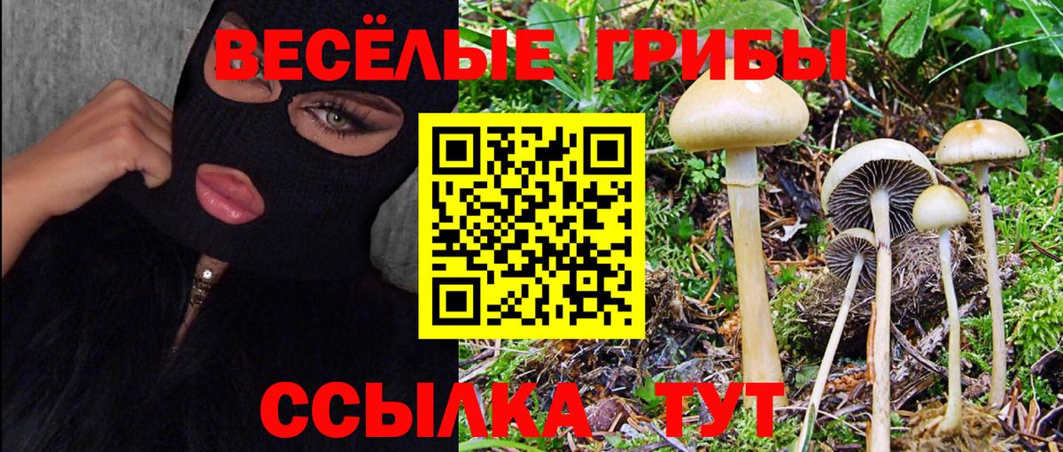 Алексеевка  Псилоцибиновые грибы GOLDEN TEACHER  Вход с VPN  Псилоцибиновые грибы MAGIC MUSHROOMS 